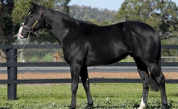 The Touchstone Farm stallion had has his fee reduced to $4400 this year